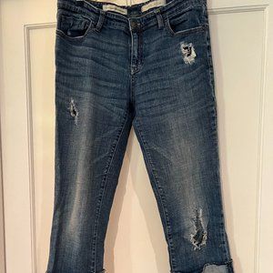 Anthropologie Pilcro Hyphen midrise distressed cropped turn up jeans sz 28